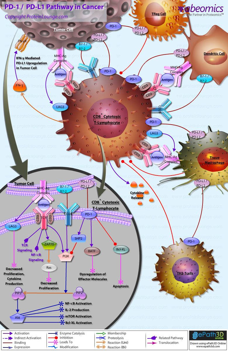 does-bone-cancer-show-up-in-routine-blood-work